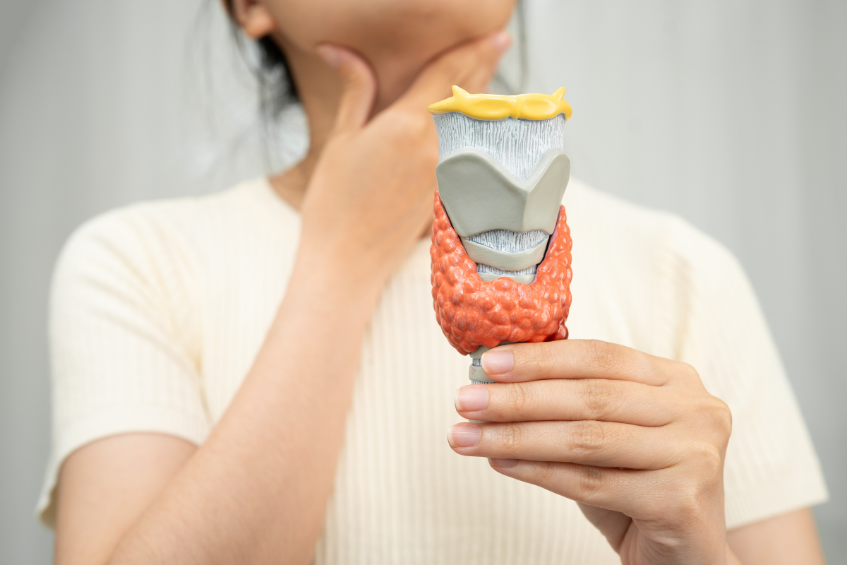Thyroid gland anatomy and nodule location illustrated