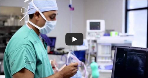 nw-ent video nw-ent video